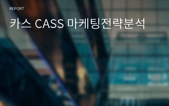 카스 CASS 마케팅전략분석