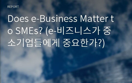 Does e-Business Matter to SMEs? (e-비즈니스가 중소기업들에게 중요한가?)