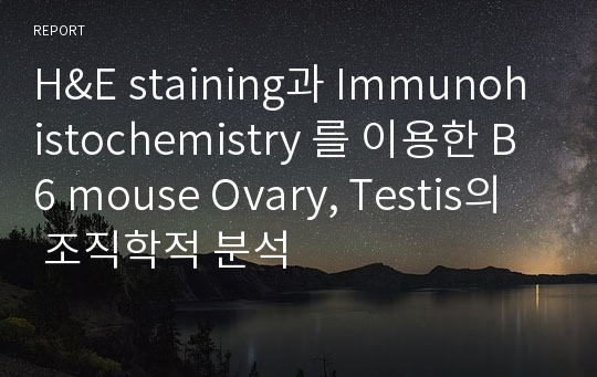 H&amp;E staining과 Immunohistochemistry 를 이용한 B6 mouse Ovary, Testis의  조직학적 분석