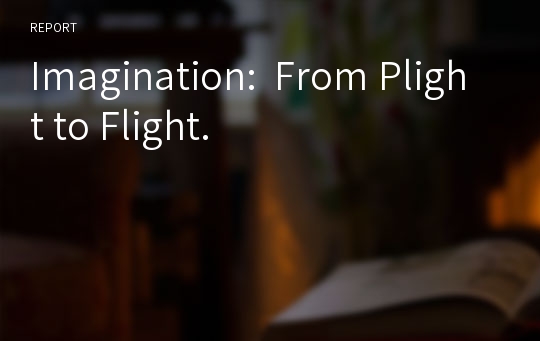 Imagination:  From Plight to Flight.