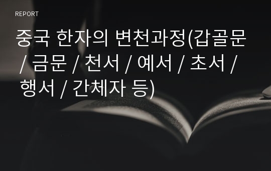 중국 한자의 변천과정(갑골문 / 금문 / 천서 / 예서 / 초서 / 행서 / 간체자 등)