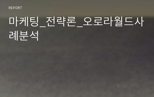 마케팅_전략론_오로라월드사례분석