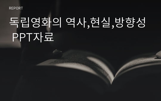 독립영화의 역사,현실,방향성 PPT자료