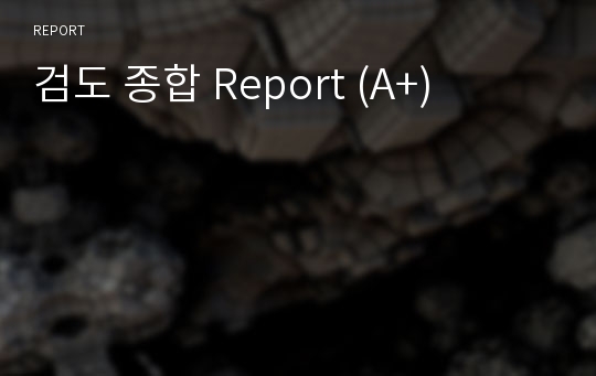검도 종합 Report (A+)
