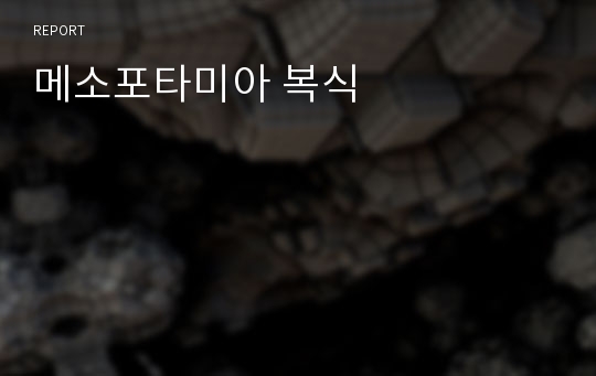 메소포타미아 복식