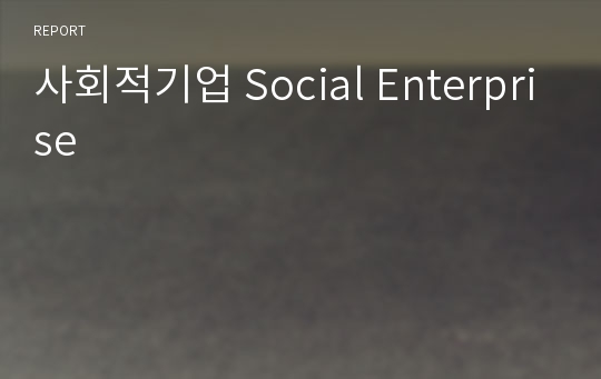 사회적기업 Social Enterprise