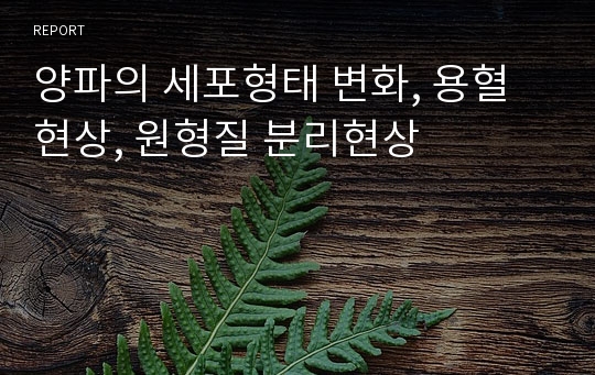 양파의 세포형태 변화, 용혈현상, 원형질 분리현상