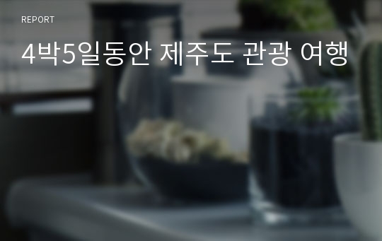 4박5일동안 제주도 관광 여행