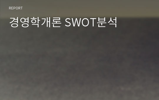 경영학개론 SWOT분석