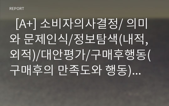   [A+] 소비자의사결정/ 의미와 문제인식/정보탐색(내적,외적)/대안평가/구매후행동(구매후의 만족도와 행동)/ 소비자 의사결정의 예