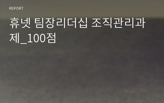 휴넷 팀장리더십 조직관리과제_100점