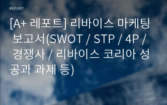 [A+ 레포트] 리바이스 마케팅 보고서(SWOT / STP / 4P / 경쟁사 / 리바이스 코리아 성공과 과제 등)