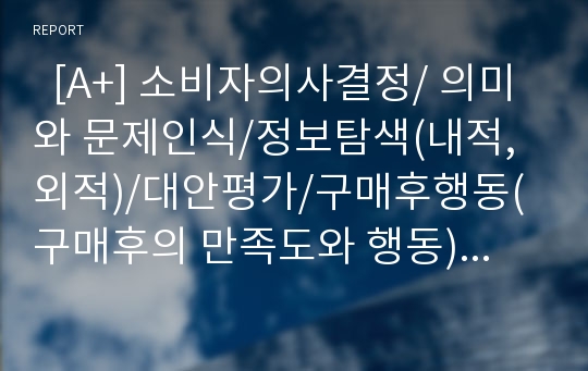   [A+] 소비자의사결정/ 의미와 문제인식/정보탐색(내적,외적)/대안평가/구매후행동(구매후의 만족도와 행동)/ 소비자 의사결정의 예