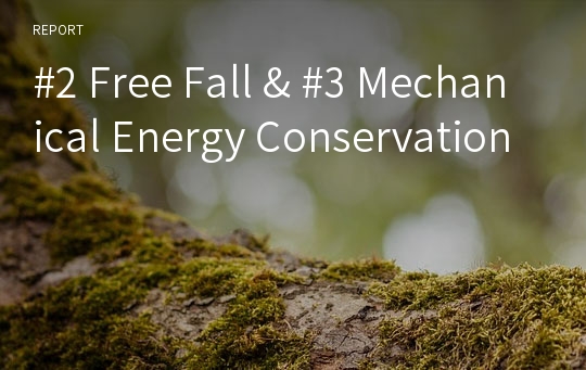 #2 Free Fall &amp; #3 Mechanical Energy Conservation