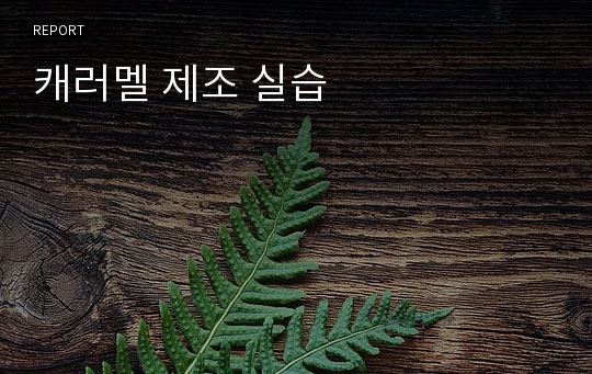 캐러멜 제조 실습