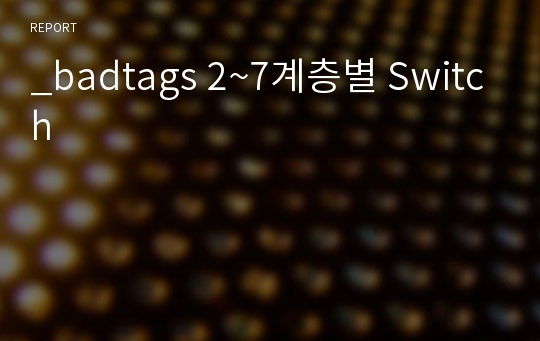 _badtags 2~7계층별 Switch