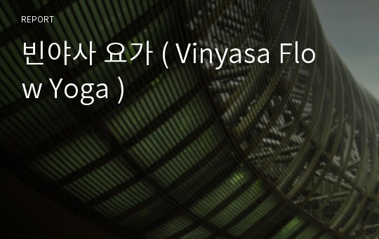 빈야사 요가 ( Vinyasa Flow Yoga )