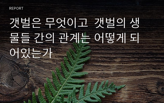 갯벌은 무엇이고  갯벌의 생물들 간의 관계는 어떻게 되어있는가