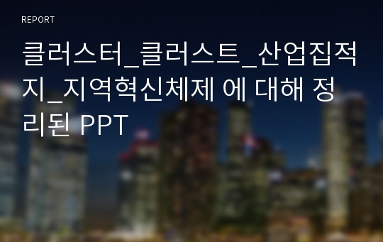 클러스터_클러스트_산업집적지_지역혁신체제 에 대해 정리된 PPT