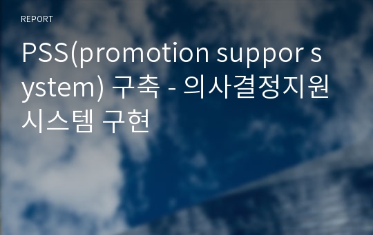 PSS(promotion suppor system) 구축 - 의사결정지원시스템 구현