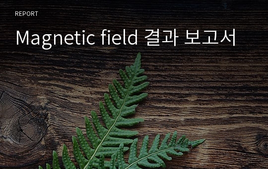 Magnetic field 결과 보고서