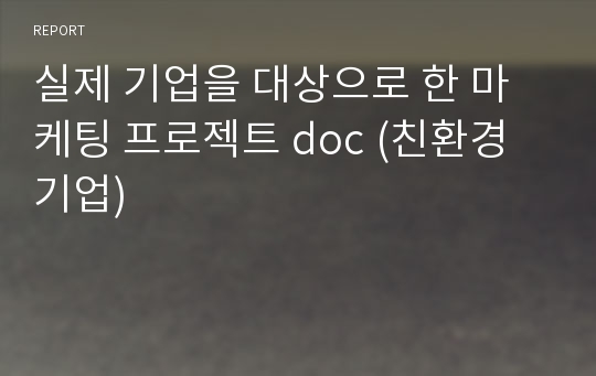 실제 기업을 대상으로 한 마케팅 프로젝트 doc (친환경 기업)