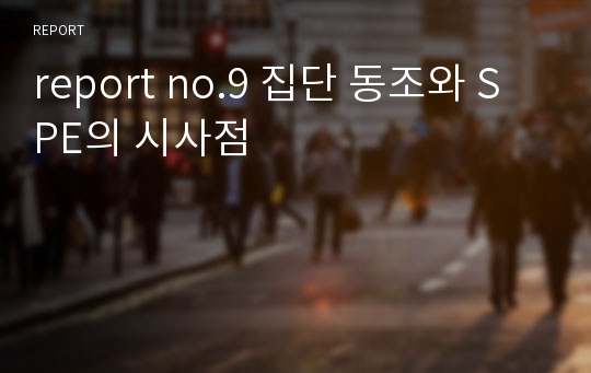 report no.9 집단 동조와 SPE의 시사점