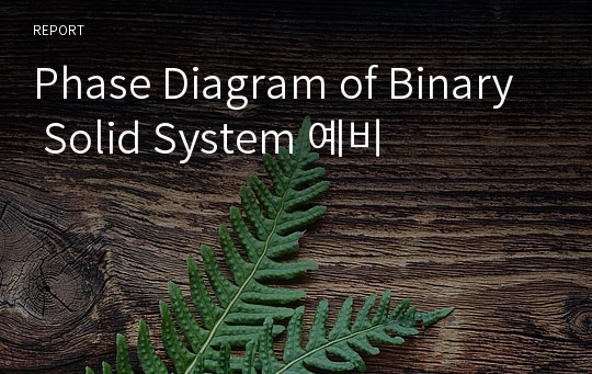 Phase Diagram of Binary Solid System 예비