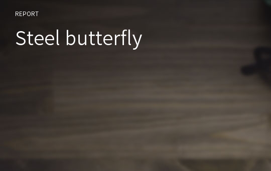Steel butterfly