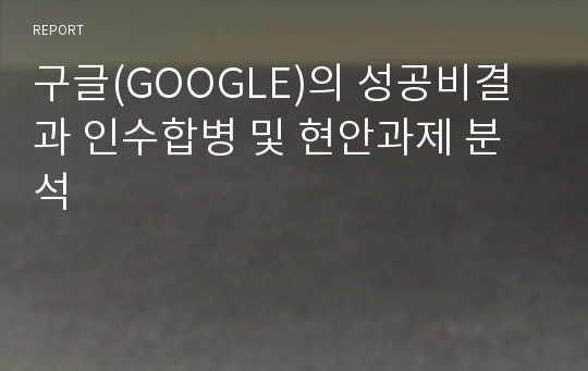 구글(GOOGLE)의 성공비결과 인수합병 및 현안과제 분석