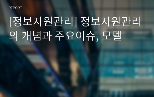 [정보자원관리] 정보자원관리의 개념과 주요이슈, 모델