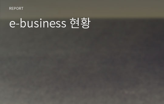 e-business 현황