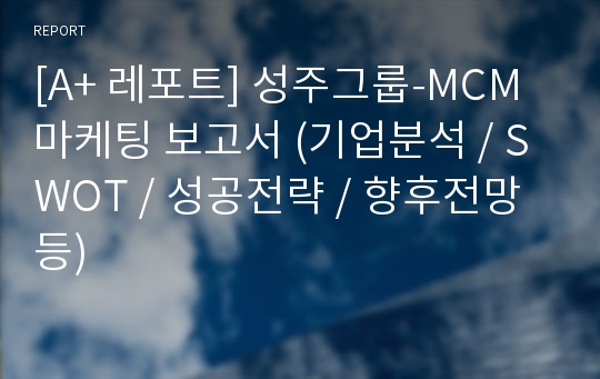 [A+ 레포트] 성주그룹-MCM 마케팅 보고서 (기업분석 / SWOT / 성공전략 / 향후전망 등)