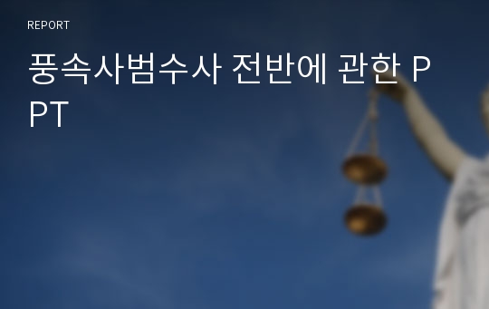 풍속사범수사 전반에 관한 PPT