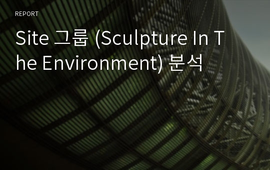 Site 그룹 (Sculpture In The Environment) 분석