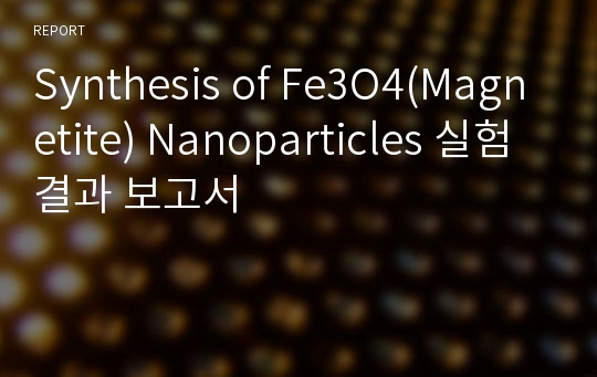 Synthesis of Fe3O4(Magnetite) Nanoparticles 실험 결과 보고서