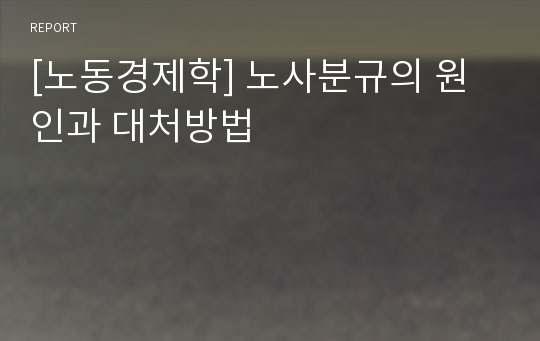 [노동경제학] 노사분규의 원인과 대처방법