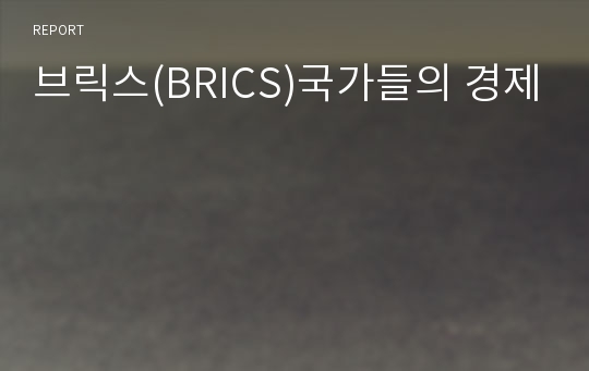 브릭스(BRICS)국가들의 경제