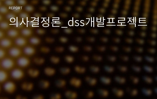 의사결정론_dss개발프로젝트