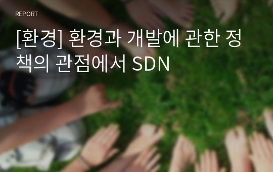 [환경] 환경과 개발에 관한 정책의 관점에서 SDN