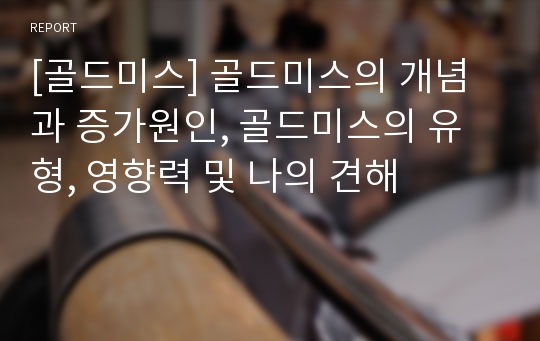 [골드미스] 골드미스의 개념과 증가원인, 골드미스의 유형, 영향력 및 나의 견해