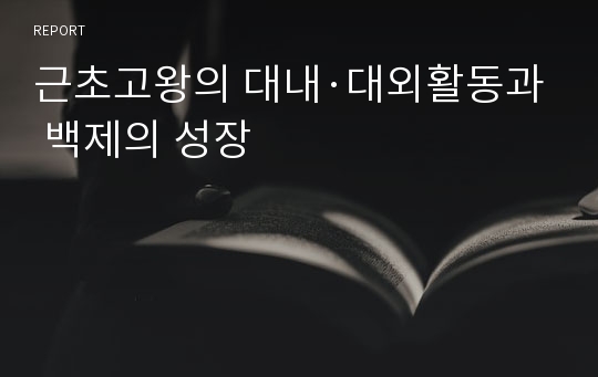 근초고왕의 대내·대외활동과 백제의 성장