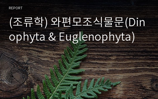 (조류학) 와편모조식물문(Dinophyta &amp; Euglenophyta)