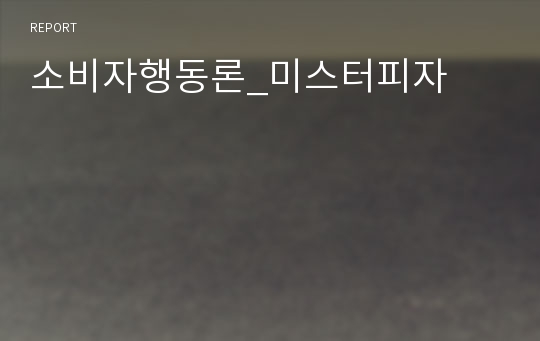 소비자행동론_미스터피자