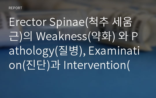 Erector Spinae(척추 세움근)의 Weakness(약화) 와 Pathology(질병), Examination(진단)과 Intervention(치료)