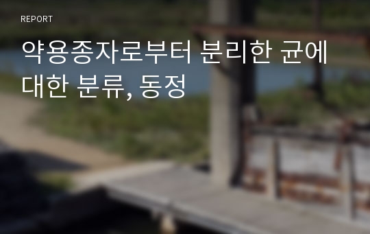 약용종자로부터 분리한 균에 대한 분류, 동정