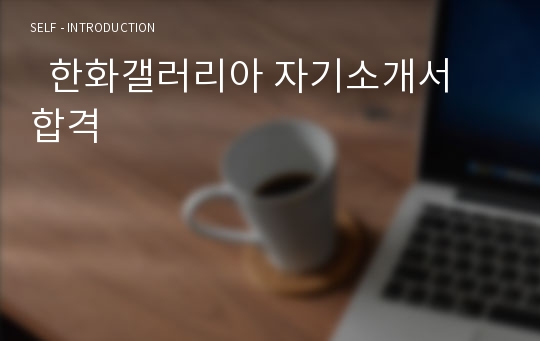   한화갤러리아 자기소개서 합격