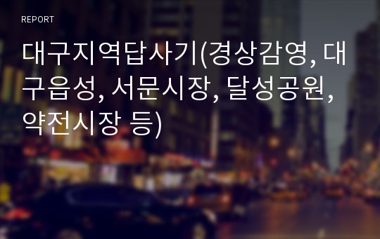 대구지역답사기(경상감영, 대구읍성, 서문시장, 달성공원, 약전시장 등)