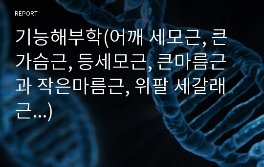 기능해부학(어깨 세모근, 큰가슴근, 등세모근, 큰마름근과 작은마름근, 위팔 세갈래근...)