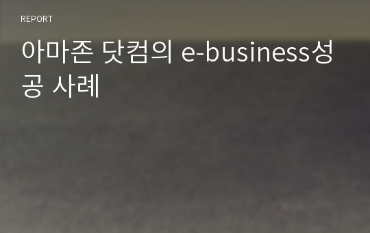 아마존 닷컴의 e-business성공 사례